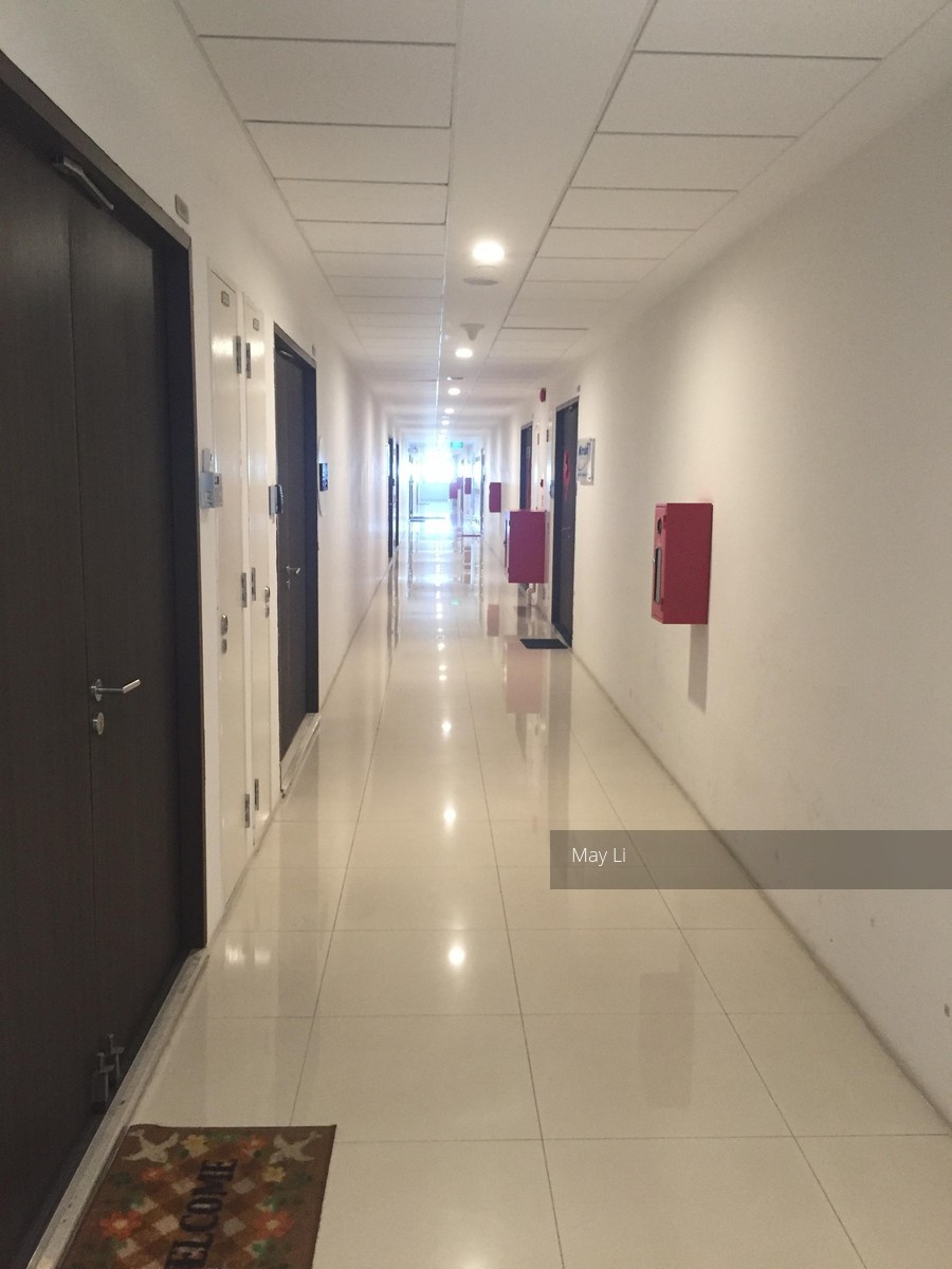 Vertex (D14), Factory #111581182